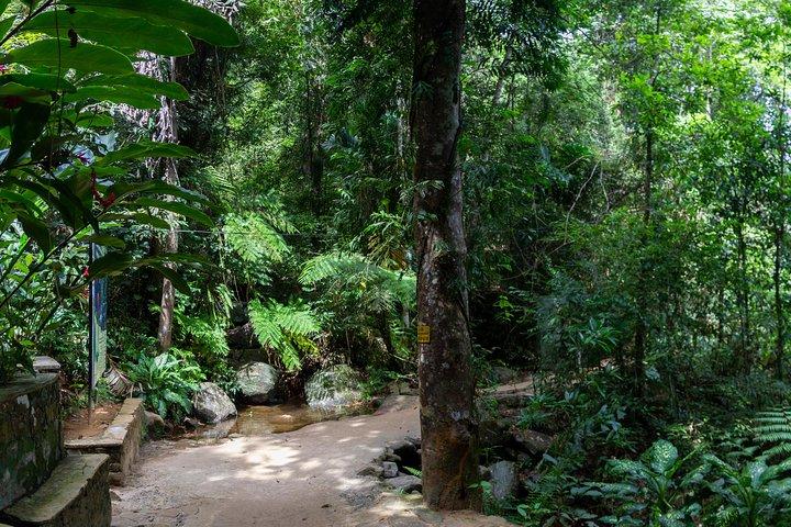 Sinharaja' rainforest - Adventure Tour (Full day)