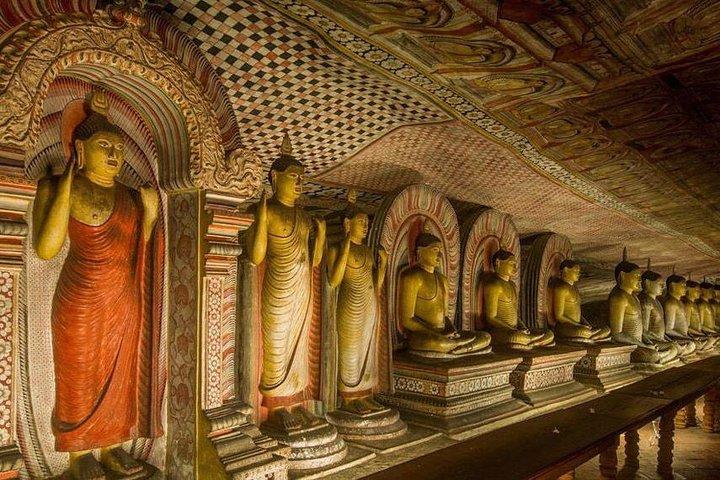 Dambulla & Sigiriya Day Tour from Colombo / Negombo with Lunch