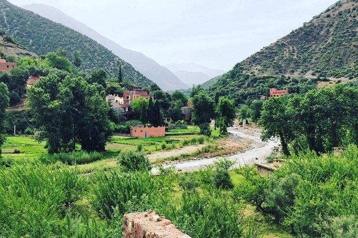 Marrakech To The Atlas Mountains Day Trip 3 Valleys & Camel Ride
