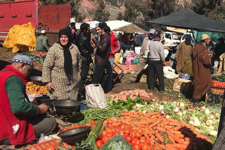 Marrakech To The Atlas Mountains Day Trip 3 Valleys & Camel Ride