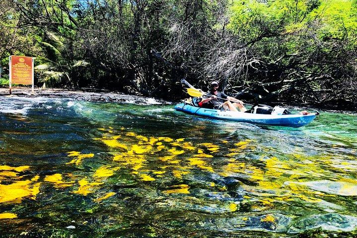 Midday Meander - Kealakekua Bay Kayak and Snorkel Adventure