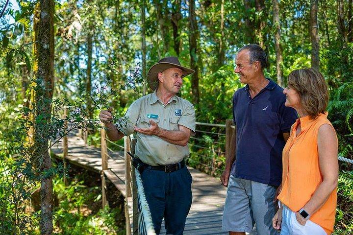 Kuranda Scenic Railway Day Trip from Palm Cove
