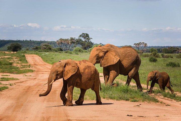 2 Days 1 Night Amboseli National Park With Masai Village Tour
