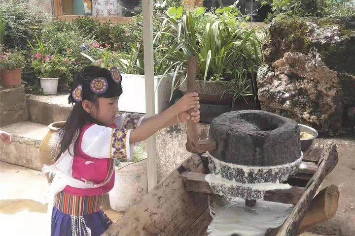 Private Tour: Jade Dragon Snow Mountain and Yuhu Village from Lijiang