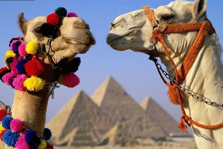 Tour to Pyramids, Sakkara & Dahshur