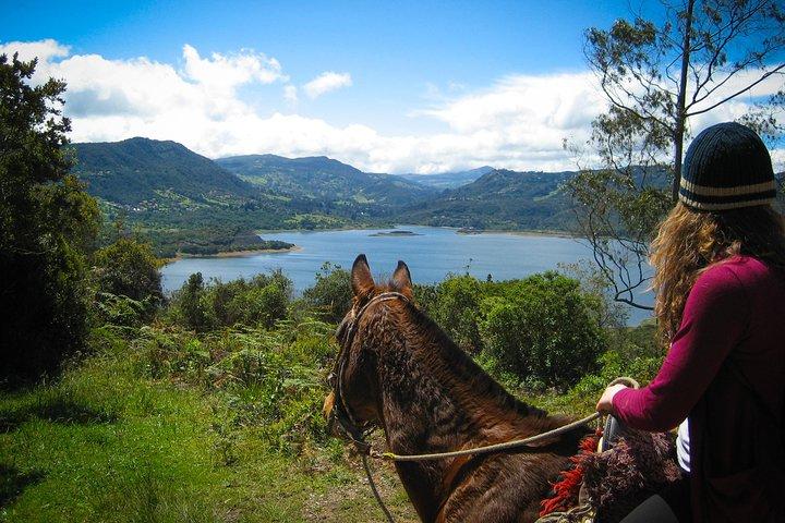 Andes Mountains Horseback Riding - Half Day