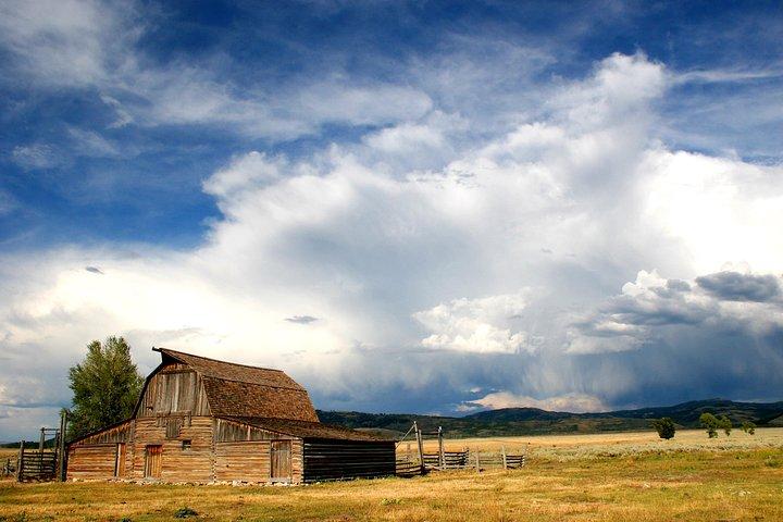 Grand Teton Wildlife Safari Tour