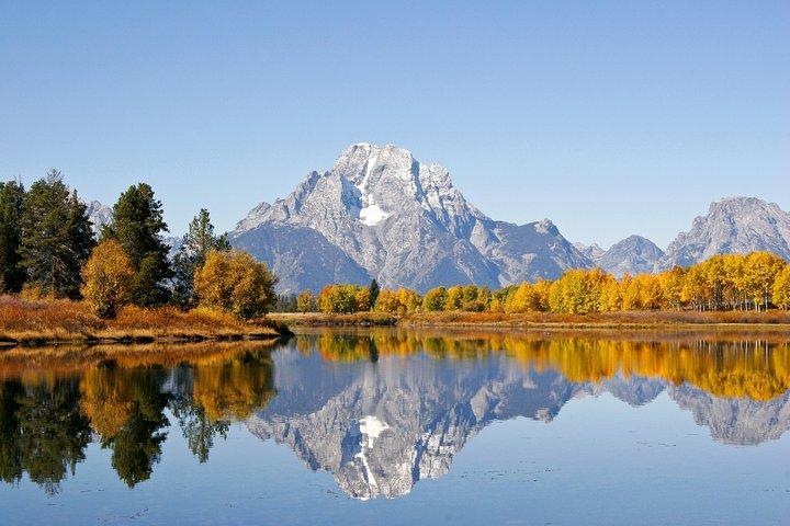 Grand Teton Wildlife Safari Tour