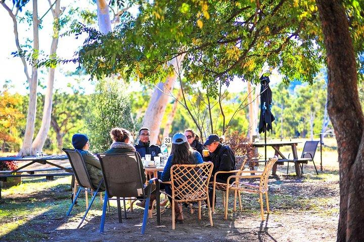 Private Blue Mountains and Winery Day-Trip from Sydney