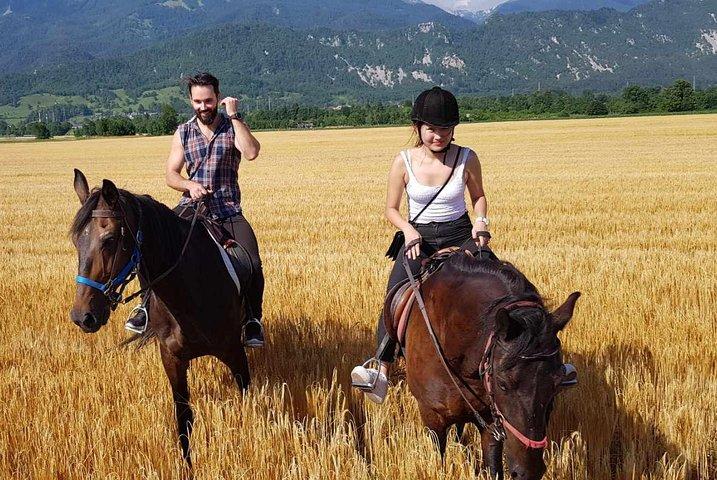 Horseback Riding In Bled