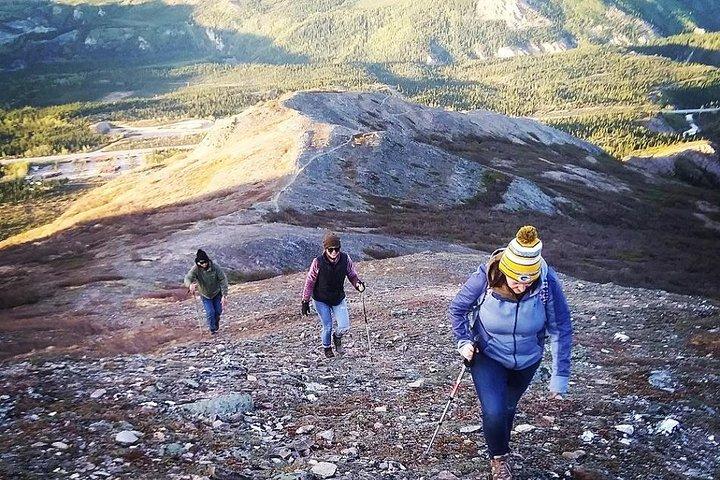 Denali 5 Hour Hiking Tour with Naturalist Guide