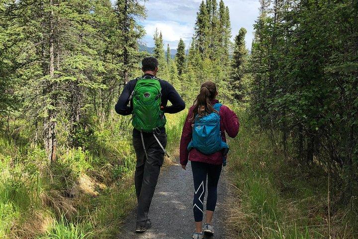 Denali Naturalist Walking Tour