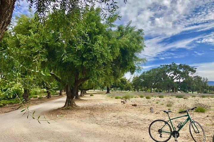 Santa Ynez Valley Biking and Wine Tasting Tour