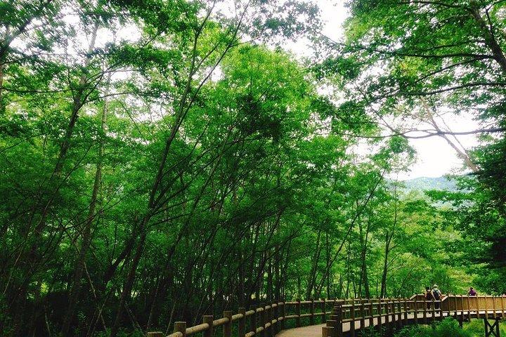 Kamikochi Mountain Day Trip from Tokyo