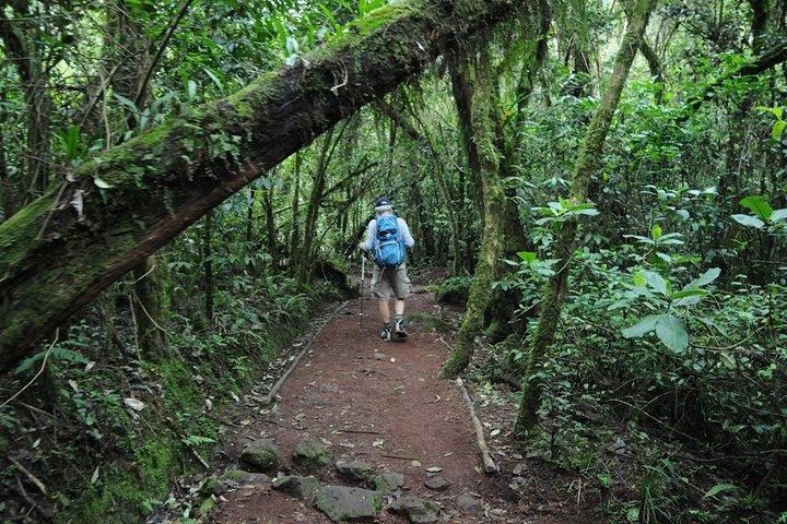5 days Marangu Route Kilimanjaro Trekking