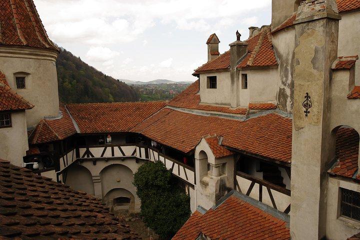 Transylvania with Dracula Castle, Bear Sanctuary and Brasov