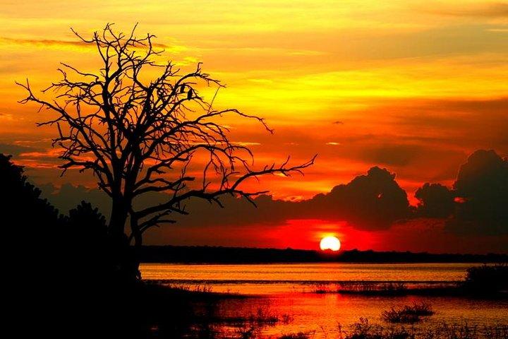 Explore Chobe National Park With a Day Trip from Victoria Falls