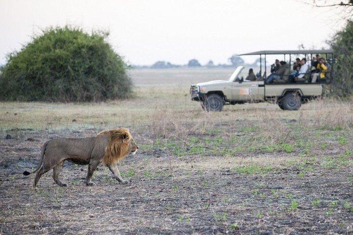 Explore Chobe National Park With a Day Trip from Victoria Falls