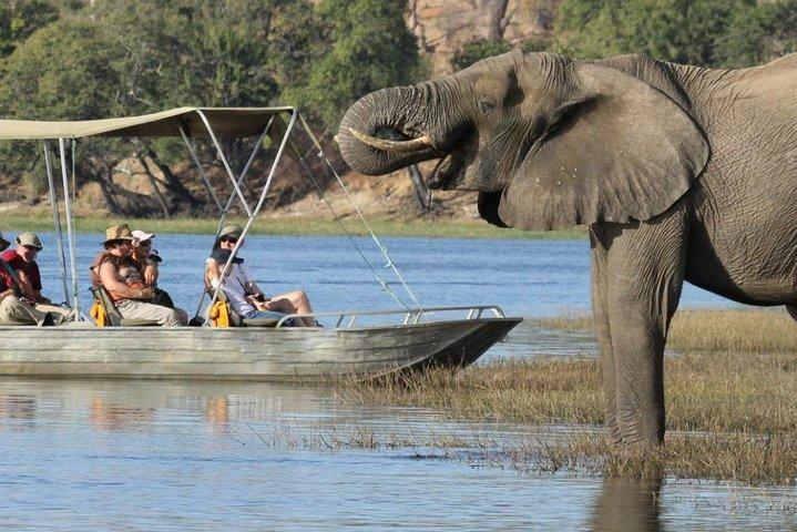 Explore Chobe National Park With a Day Trip from Victoria Falls
