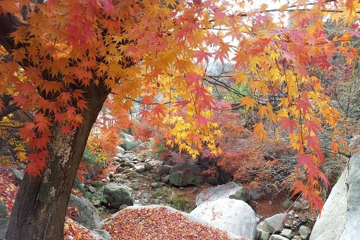 Private Hiking to Bukhansan & Korean Style Spa(Include Lunch)