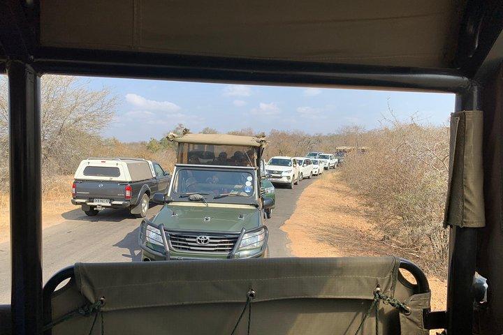 Kruger National Park Full Day Big 5 Safari Tour From Hazyview