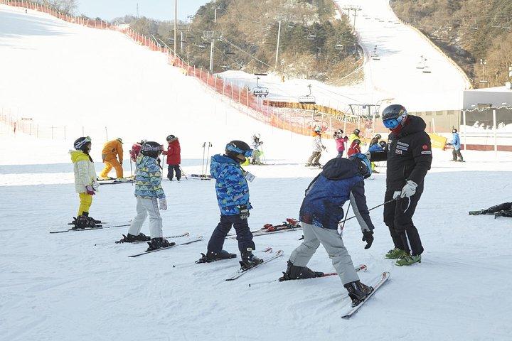 [Private Tour] Nami Island & Ski (Ski Lesson, Equip & Clothing Included)