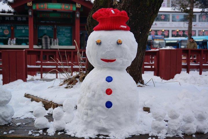 [Private Tour] Nami Island & Ski (Ski Lesson, Equip & Clothing Included)