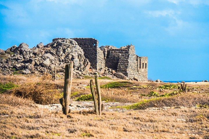 Aruba Island Sightseeing Tour