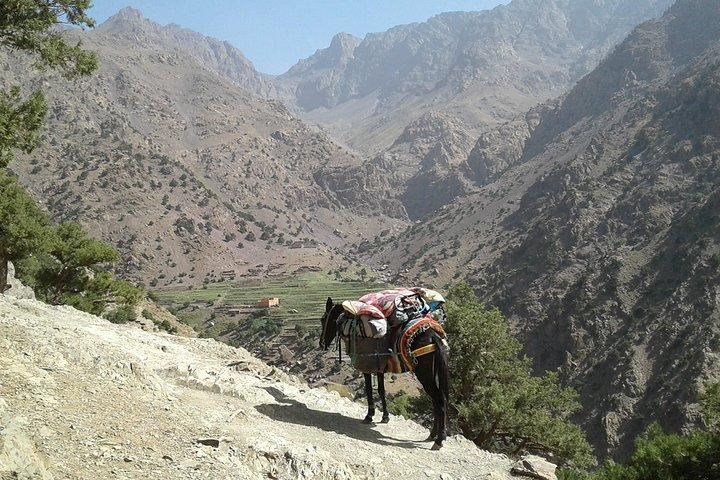 3-Day Atlas Mountains Trek from Marrakech: Imlil and Azzaden Valleys