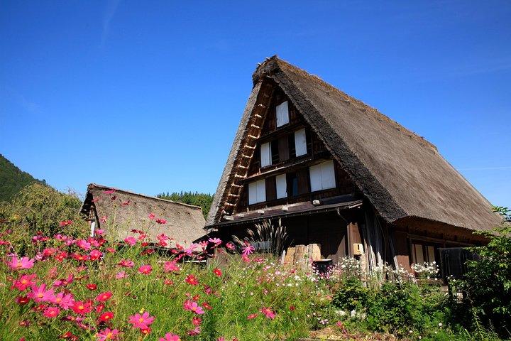 From Takayama: Shirakawa-go Half-Day Tour by Bus