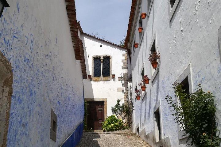 One Way Private Tour Lisbon to Porto, via Obidos Nazare Aveiro