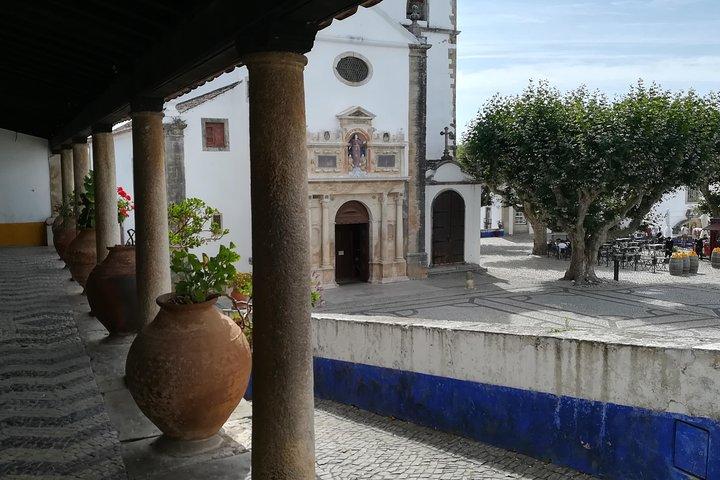 One Way Private Tour Lisbon to Porto, via Obidos Nazare Aveiro
