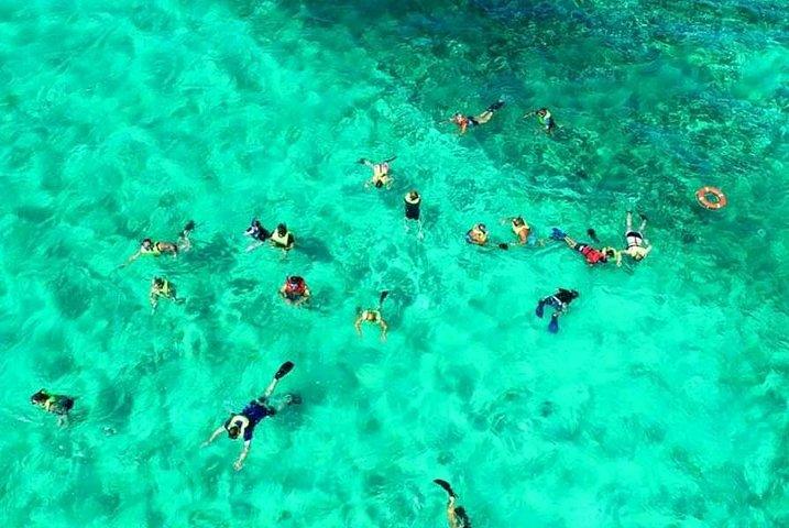 Ultimate Combo Mangrove tour,Horseback Riding, Snorkeling & beach