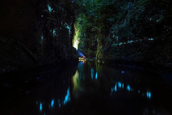 Tauranga: Evening Glowworm Kayak Tour