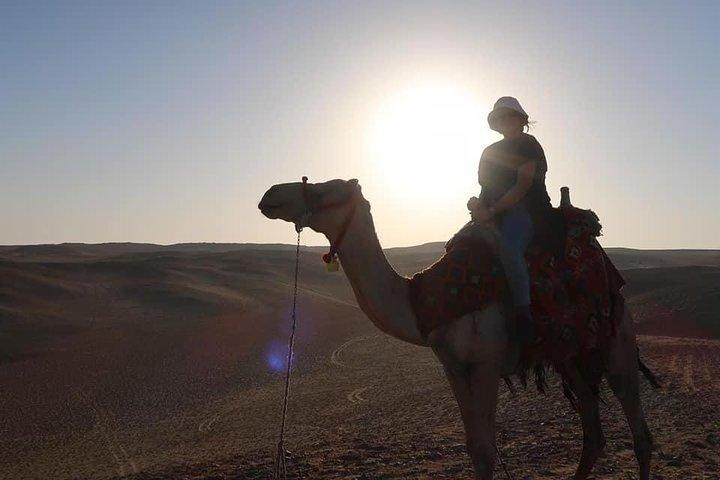 Private Camel Riding Tour of Giza Pyramids at Sunset with Local Bedouin Dinner