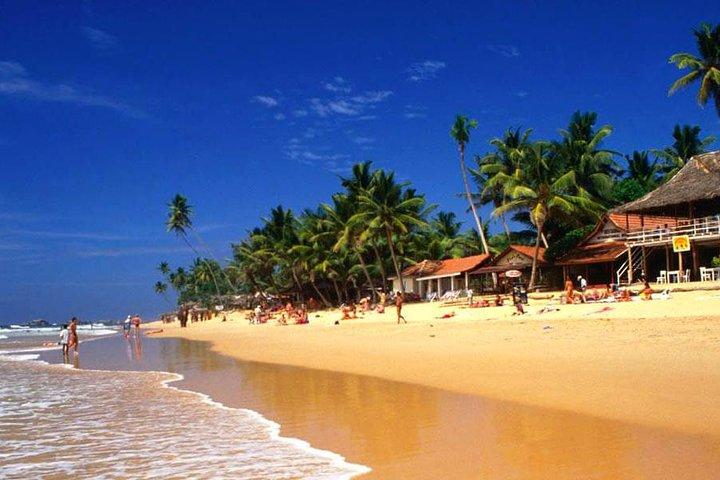 Galle Day Tour from Colombo or Negombo by Private Car , Van with Driver