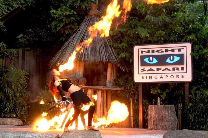 Singapore Zoo & Night Safari Day ( Tickets & Transfer )