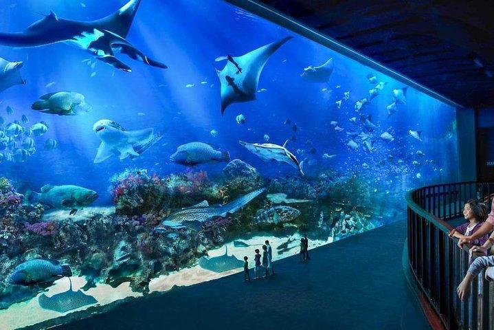 Sentosa Attraction Ticket & Transfer Only