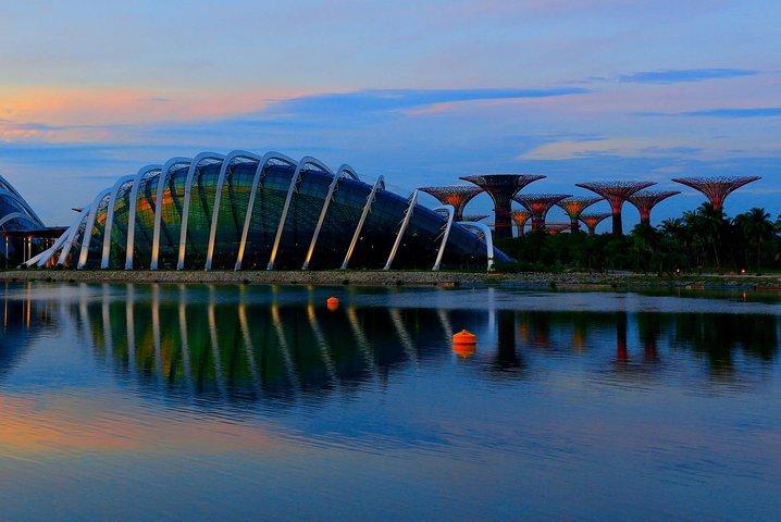 Gardens by the Bay with Marina Bay Sands Skypark