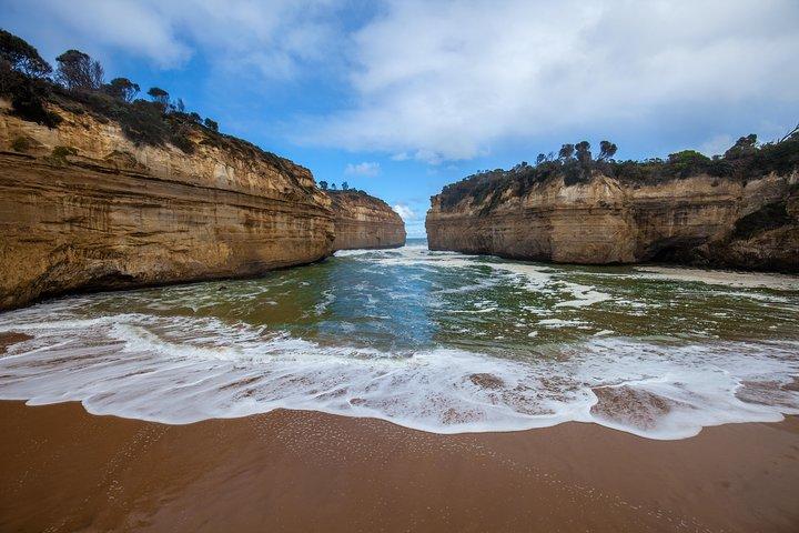 Great Ocean Road and Wildlife Tour for Backpackers aged 18-35