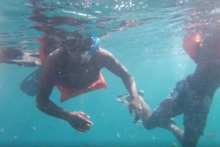Private Los Arcos snorkeling