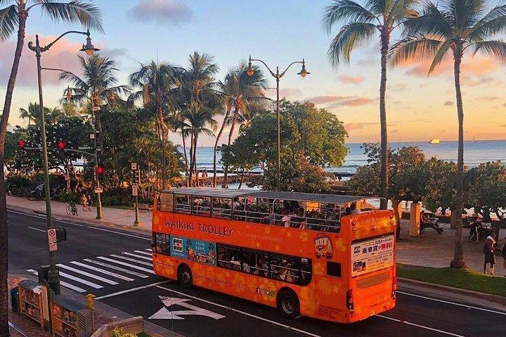 Waikiki Trolley Hop-On Hop-Off Tour of Honolulu