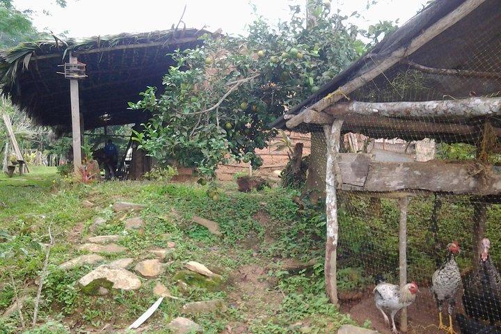 Lost jewel, Tour 1 day Sierra nevada de santa marta. only relics !.