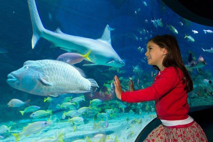 SEA LIFE Melbourne Aquarium Admission Ticket