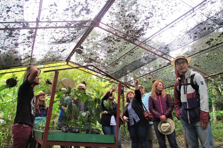 Coffee Plantation Tour From Bogota