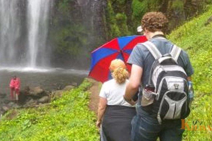 Materuni waterfall and Coffee tour
