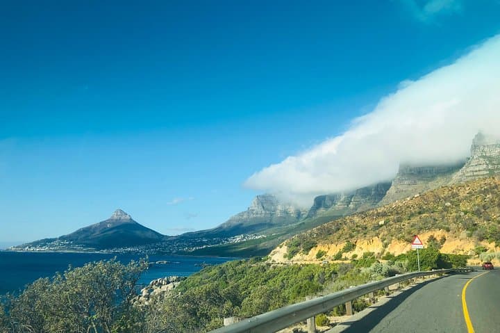 Cape Point Penguin Tour