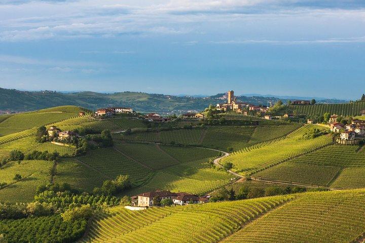 Private Tour: Barolo Wine Tasting in Langhe area from Torino