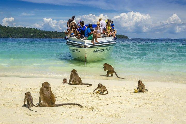Discover Maya Bay at Dawn: Avoid the Phi Phi Crowds
