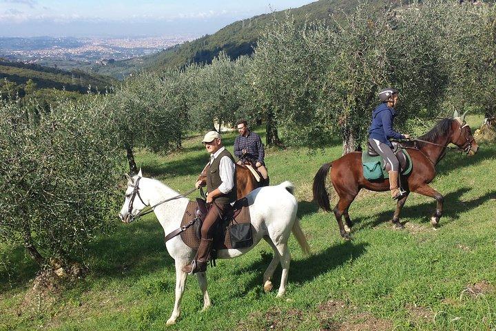 Horse ride, Olive Oil and local foods tasting in a Tuscan farm